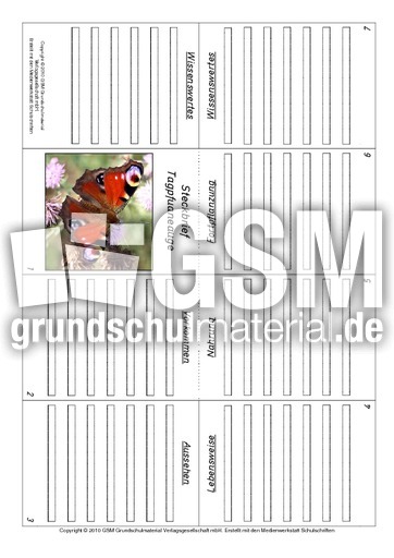 Faltbuch-Tagpfauenauge.pdf